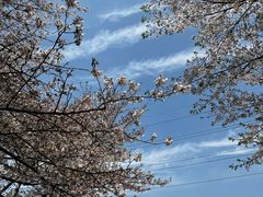 -西北湖绿化广场