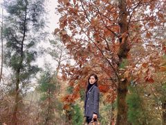 -金堂县云顶石城风景区