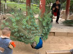 -Supine Bistro溯泮餐厅