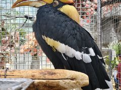 -鄂尔多斯野生动物园