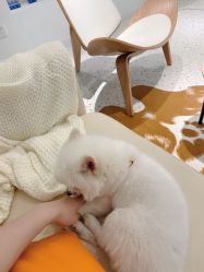 -MZ SKIN CARE逆齢驻颜中心
