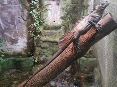 -上海大自然野生昆虫馆(东方明珠·爬宠昆虫探索中心)
