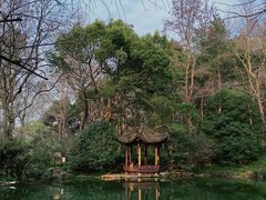 -杭州植物园