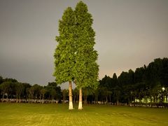 -嘉兴清池酒店温泉