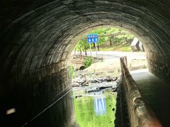-白水寺森林公园
