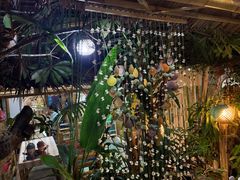 -Jungle Kitchen