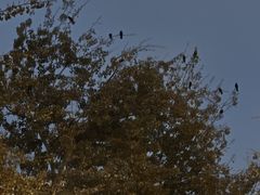 -碧中海汤泉汗蒸酒店