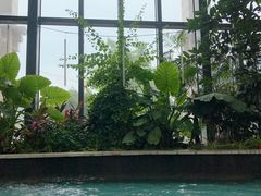 -郑州银基黄帝宫御温泉