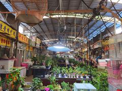 -万商花鸟市场