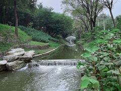 -北坞公园