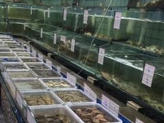 水产区-海岛渔村大酒店(云霄路店)