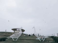 -光明小镇欢乐田园