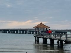 -东郊椰林