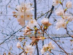 -上海体育场(地铁站)