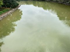 -海珠湖公园