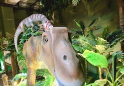 -恐龙探索乐园(磁器口店)