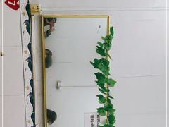 -东北饺子王(麓山南路店)