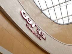-CGV星星影城(颐堤港ScreenX店)