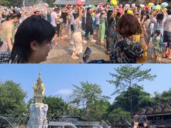 -西双版纳傣族园