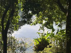 -东莞植物园