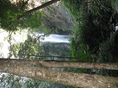 -莫里热带雨林景区