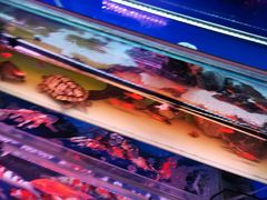 -三旗百汇商品城