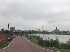 -荷兰花海