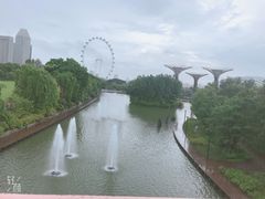 -新加坡摩天观景轮