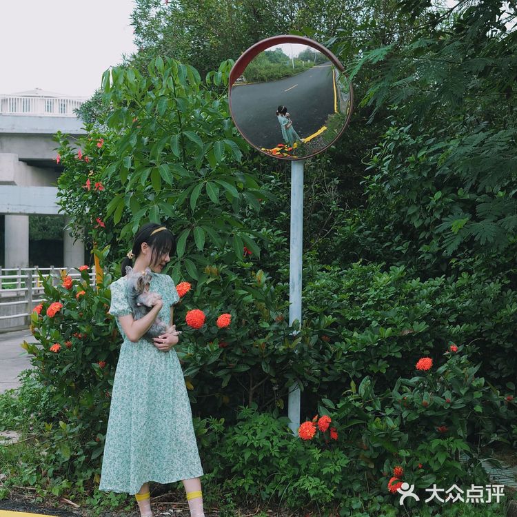 马峦北路.深圳又一条小众的日系片公路！