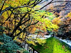 -光雾山旅游景区