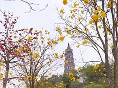 -顺峰山公园