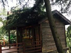 -龟山风景区-龟山电视塔