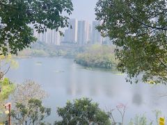 -重庆彩云湖湿地公园
