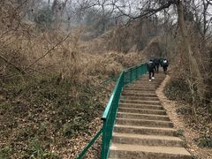 -大蜀山国家森林公园