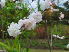 -上海市龙华烈士陵园