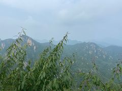 -大岭沟猕猴桃谷风景区