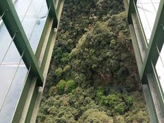 -龙湾潭国家森林公园