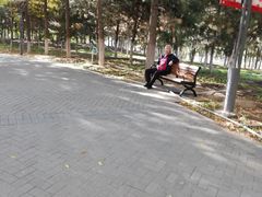 -大兴滨河森林公园