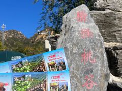 -大岭沟猕猴桃谷风景区