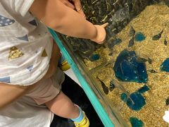 -MR.ZOO小小动物元室内动物园(沈阳沈河盛京中心)