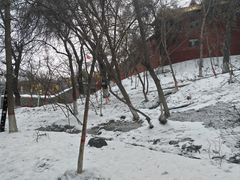 -水磨沟公园