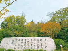 -牛首山文化旅游区