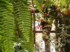 -The Grounds of Alexandria