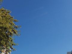 -北京食堂·烤鸭·宵夜(亚运村店)