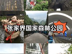 -张家界天门山国家森林公园