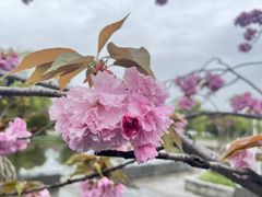 -石湖景区