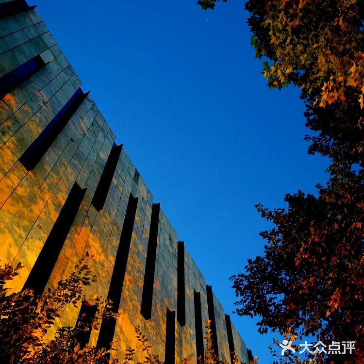 金陵漫游||美术馆.幽蓝的夜