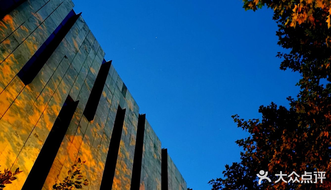 金陵漫游||美术馆.幽蓝的夜