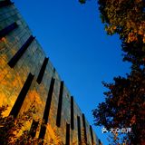 金陵漫游||美术馆.幽蓝的夜