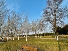 -汉长安城未央宫国家考古遗址公园